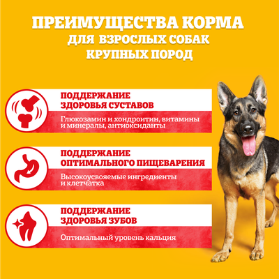 Сухой корм Pedigree для взрослых собак крупных пород с говядиной, 13кг