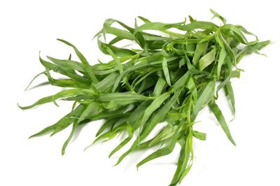 Тархун/Эстрагон свежий вес 1кг