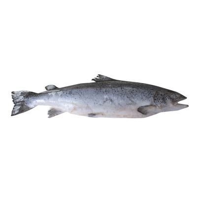 Лосось зам 6-7