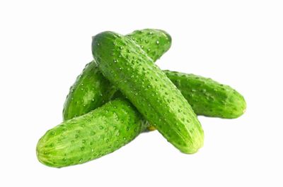 Огурец колючий короткоплодный