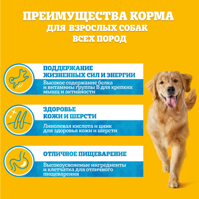 Влажный корм Pedigree для взрослых собак всех пород, с говядиной в соусе, 85г