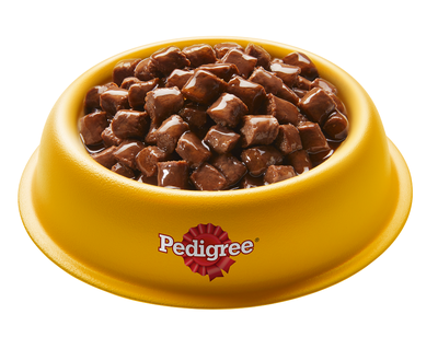 Влажный корм Pedigree для щенков всех пород, с говядиной в соусе, 85г