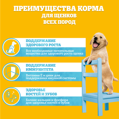 Влажный корм Pedigree для щенков всех пород, с говядиной в соусе, 85г