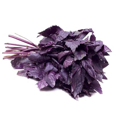 Зелень Базилик Красный (ОД)