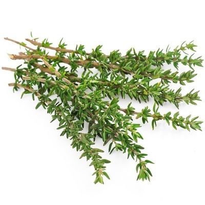 Зелень Тимьян (ОД)