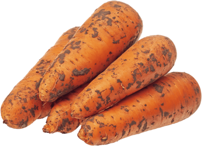Морковь свежая 1кг(ОД) Морковь свежая 1кг(ОД)