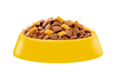 Сухой корм WHISKAS® для стерилизованных кошек, с курицей и вкусными подушечками, 800г