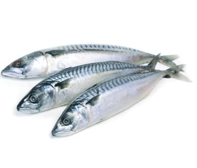 Скумбрия НР Атлантическая 400-600 с/м