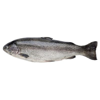 Филе судака н/ш с/м 400+