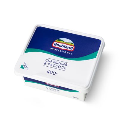 Сыр мягкий Hochland Professional в рассоле, ванночка, 480г