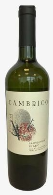 Вино Камбрико Совиньон Блан бел.сух. 0,75л*12
