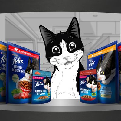 Феликс Мясное объедение 600г Сухой корм курица