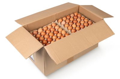 Яйцо столовое С1 категория 360 шт.