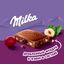 Шоколад Milka молочный Фундук и изюм 80г