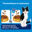 Феликс Мясное объедение 600г Сухой корм говядина