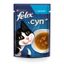 Феликс Soup 48г Конс GiG треска