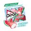 Жевательная резинка Dirol X-Fresh Арбузный лед 16г