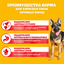 Сухой корм Pedigree для взрослых собак крупных пород с говядиной, 13кг