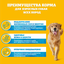 Влажный корм Pedigree для взрослых собак всех пород, с телятиной и печенью в желе, 85г
