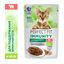 Влажный корм Perfect Fit Immunity для иммунитета кошек, говядина в желе и семена льна, 75г