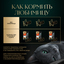 Влажный корм для кошек SHEBA® с телятиной. «Ломтики в желе. Телятина», 75г