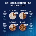 FELIX  Двойная Вкуснятина для котят 600г Сухой корм Курица