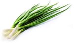 Зеленый лук