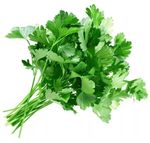 Зелень Петрушка (ОД)