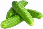 Огурец колючий короткоплодный Огурец колючий короткоплодный