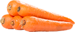 Морковь мытая (ОД)