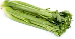 Сельдерей стебель (ОД)