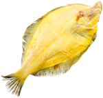 Камбала желтобрюх. ПБГ зам. 22кг