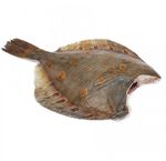 Камбала БГ с/м 22кг