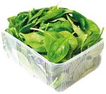 Шпинат 1шт